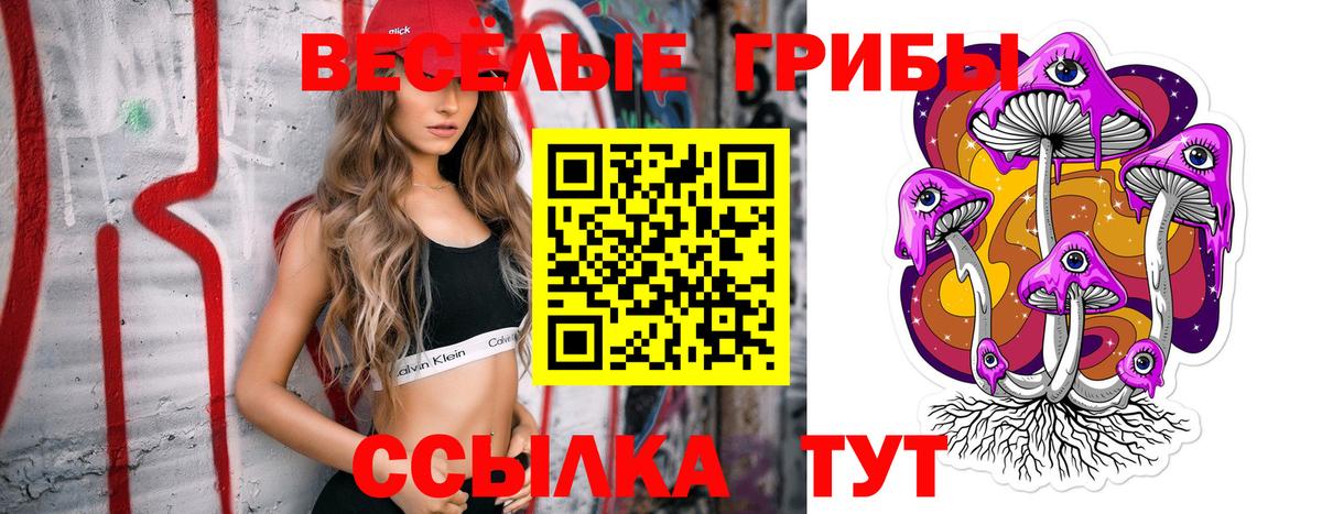 Дивногорск  Псилоцибиновые грибы мицелий  Вход с VPN 